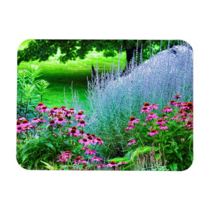 Purple Perovskia and Echinacea Magnet