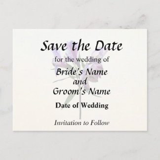 Purple Peruvian Lily Announcement Postcard