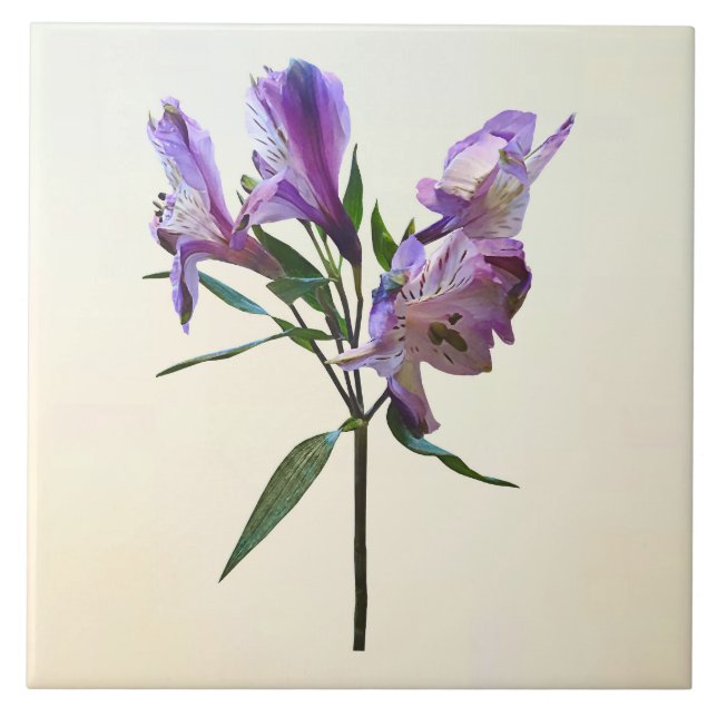 Purple Peruvian Lily Ceramic Tile (Front)