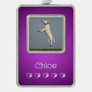 Purple Pet Photo Ornament - New Puppy Gift