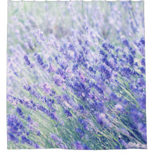 PURPLE PETALED FLOWERS SHOWER CURTAIN