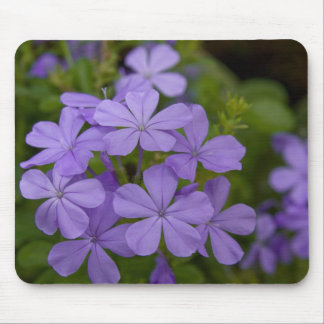 Purple Petals Mouse Pad