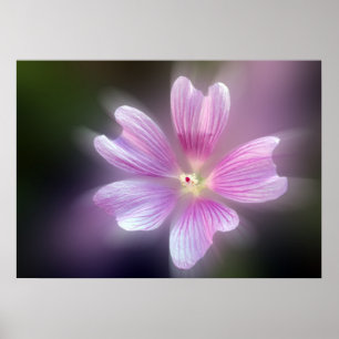 purple petals poster