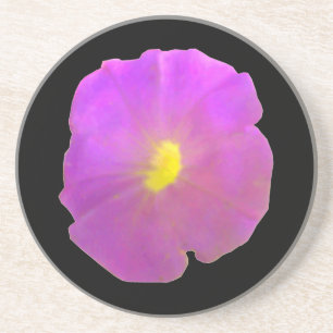 Purple Petunia Coasters