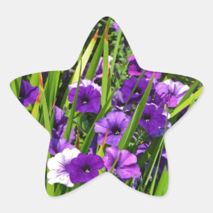 Purple petunia floral print star sticker