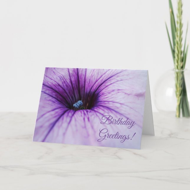 Purple Petunia Flower Birthday Greetings Card (Front)