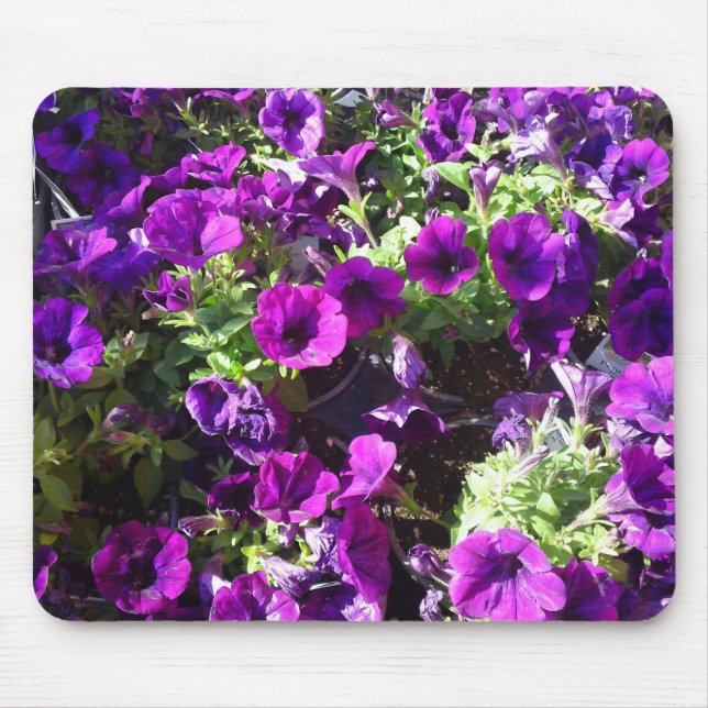 Purple Petunia Flower Mouse pad (Front)