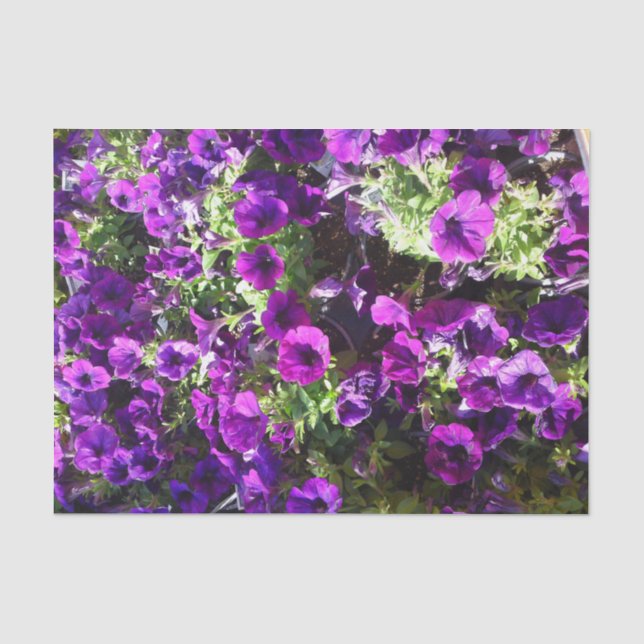 Purple Petunia Flower Tissue Paper (Front)