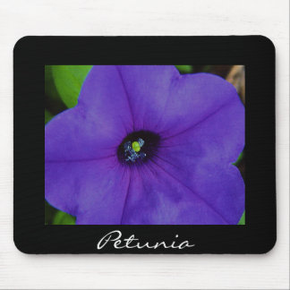 Purple Petunia Mouse Pad