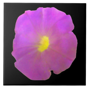 Purple Petunia Tile