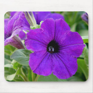 Purple Petunias Flower Mousepad