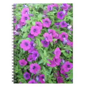Purple Petunias Notebook
