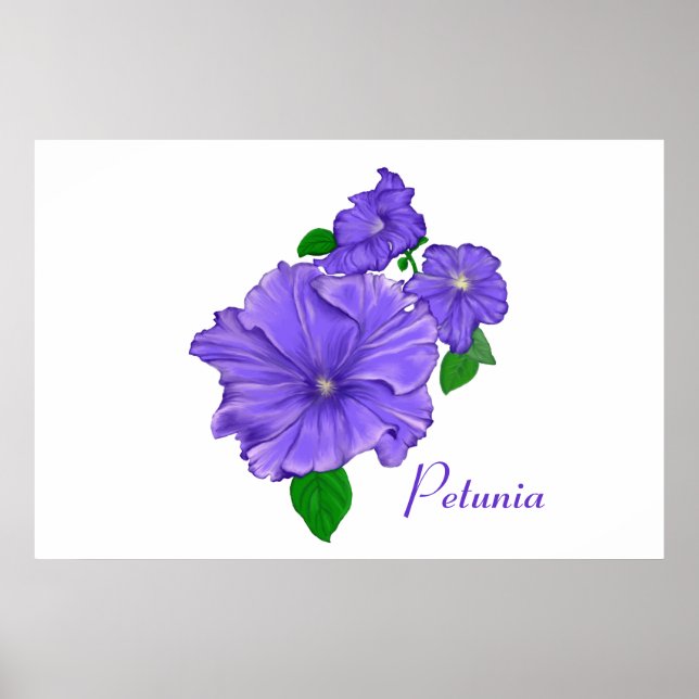 Purple Petunias Poster (Front)