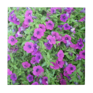 Purple Petunias Tile