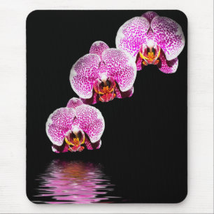 Purple Phalaenopsis Orchids Reflections Mousepad
