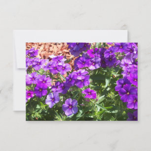 Purple Phlox Floral Thank You card