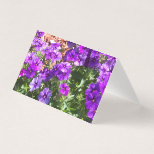 Purple Phlox flowers on a blank card
