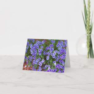 Purple Phlox flowers on a thank you Card