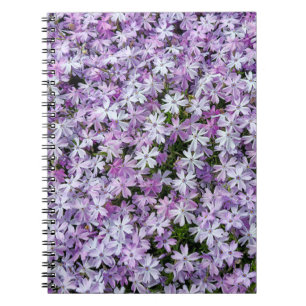 Purple Phlox Garden Notebook