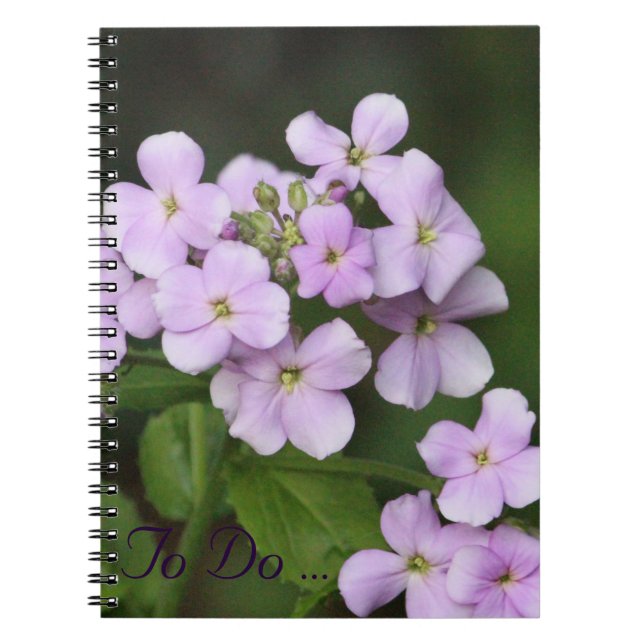 Purple Phlox Notebook (Front)