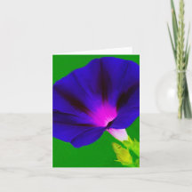 Purple-Pink Floral
