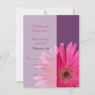 Purple & Pink Gerbera Daisy Wedding Reply Card