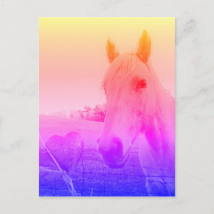 Purple pink Horse & Heart Postcard