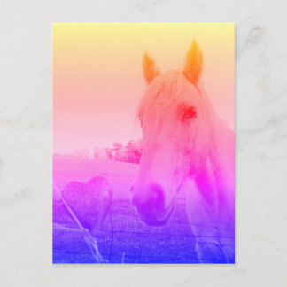 Purple pink Horse & Heart Postcard