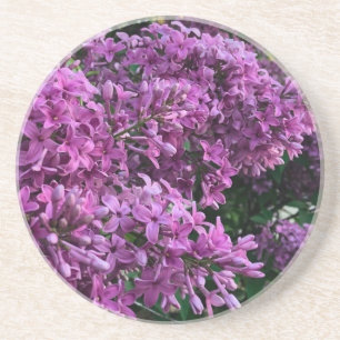 Purple-pink lilacs purple pink floral photo coaster