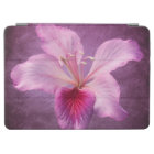 Purple Pink Orchid Tree Flower Floral