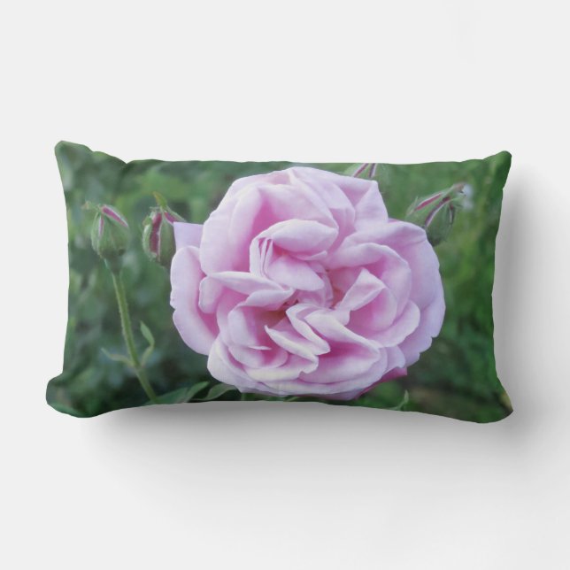 Purple Pink Rose Photo Lumbar Pillow Gardeners (Front)