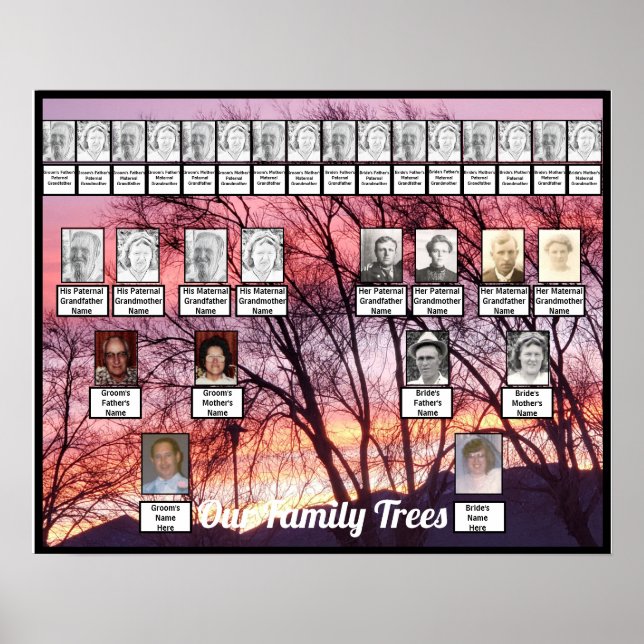 Purple Pink Sunset Photo Two Family Trees  Poster (Front)