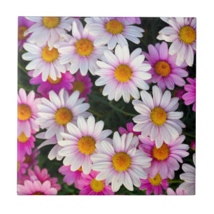 Purple Pink White Daisies Flowers Ceramic Tile