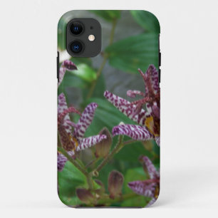 Purple pink white striped orchid like flower lilly iPhone 11 case