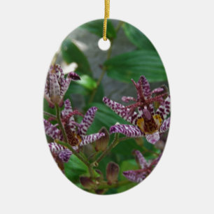 Purple pink white striped orchid like flower lilly ceramic ornament