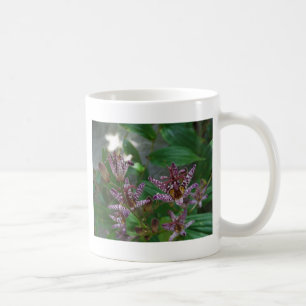 Purple pink white striped orchid like flower lilly coffee mug