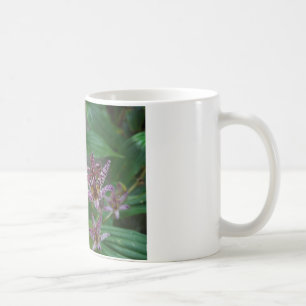 Purple pink white striped orchid like flower lilly coffee mug
