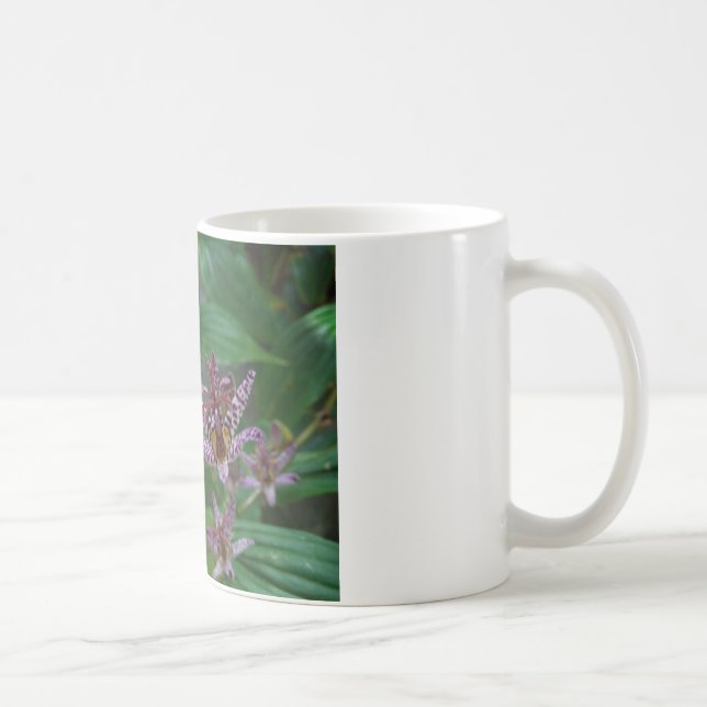 Purple pink white striped orchid like flower lilly coffee mug (Right)