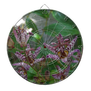 Purple pink white striped orchid like flower lilly dartboard