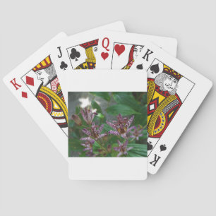 Purple pink white striped orchid like flower lilly playing cards