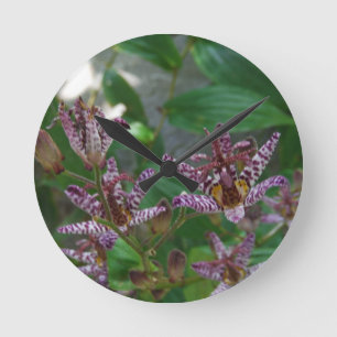 Purple pink white striped orchid like flower lilly round clock