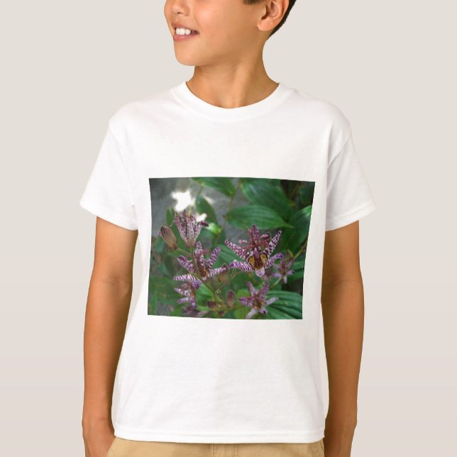 Purple pink white striped orchid like flower lilly T-Shirt (Front)