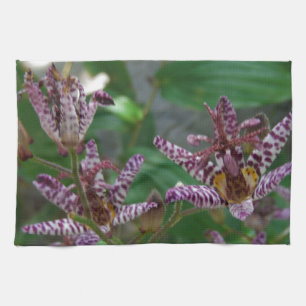 Purple pink white striped orchid like flower lilly tea towel