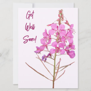 Purple pink wild flowers get well soon fine art holiday card