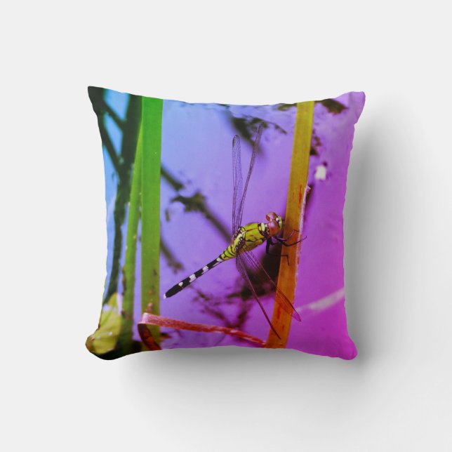 purple pink yellow :green dragonfly, Rainbow Cushion (Front)