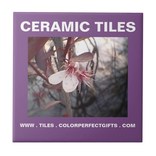 Purple Plum Ceramic Tile (Front)