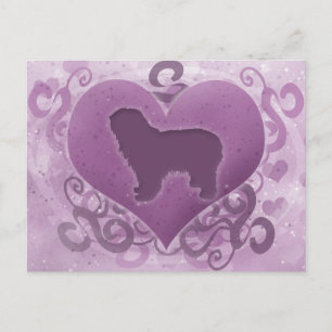 Purple Polish Lowland Sheepdog Valentine Holiday Postcard
