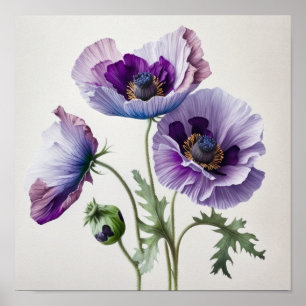 Purple Poppy Flowers Art Print Poster