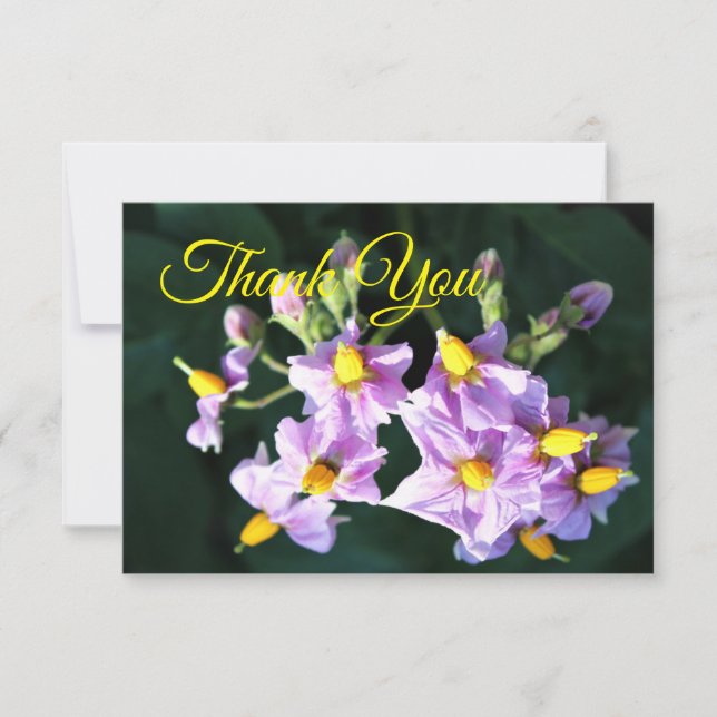 Purple Potato Flower  Thank You Card (Front)