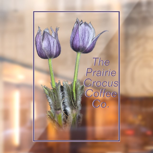 Purple Prairie Crocus Wildflower Window Cling (Sheet 2)
